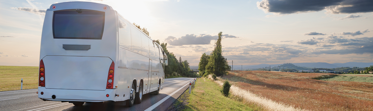 워크숍 야유회 단체 행사를 위한 최신형 전세버스 대절 서비스